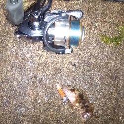 臨時収入Getで明石出撃!!