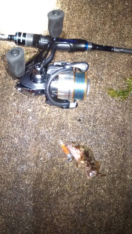 臨時収入Getで明石出撃!!