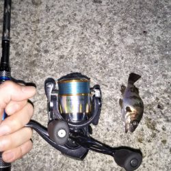 朝マヅメ江井ヶ島リベンジマッチ•̀.̫•́✧