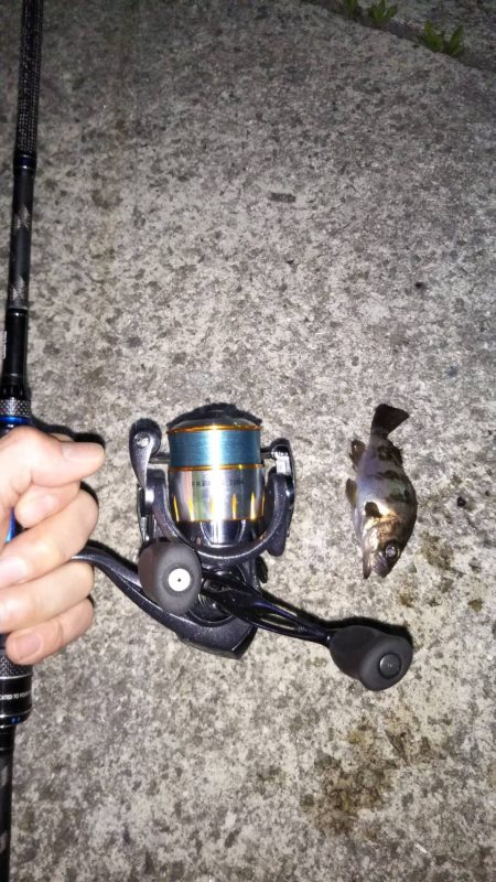 朝マヅメ江井ヶ島リベンジマッチ•̀.̫•́✧