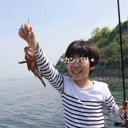 アジはまだ？まだまだロックフィッシュ