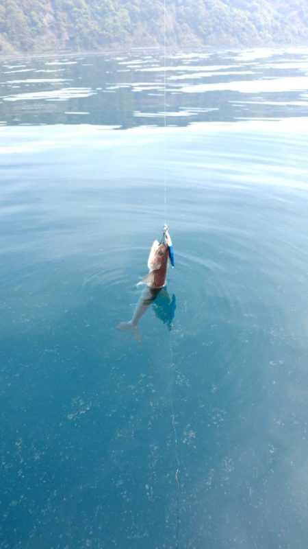 今年初ゴムボート