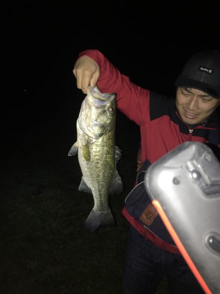 ナイトゲームで50up