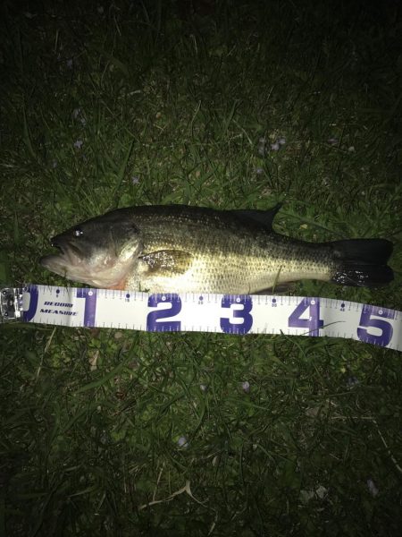 久しぶりにいけました。