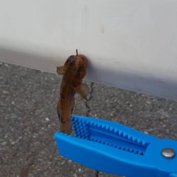 子供と夕方ちょっと