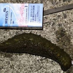 フロート何もこず