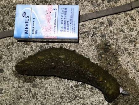 フロート何もこず