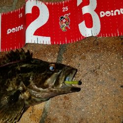 快適な釣りでした❗