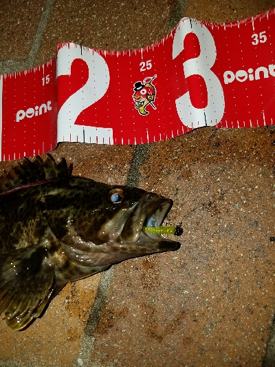 快適な釣りでした❗