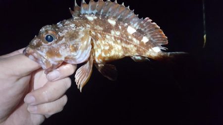 日本鋼管先端メバリング