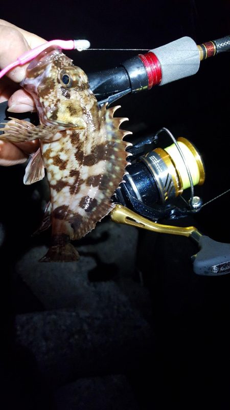 ガッシーまつり