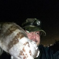 雨上がりの調査