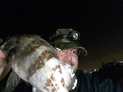 雨上がりの調査