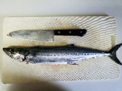 よーくひきました！