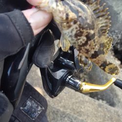 爆風のなか無理矢理風裏に行きメバリング