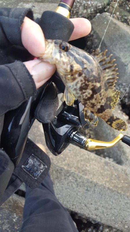 爆風のなか無理矢理風裏に行きメバリング