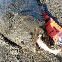 久々釣果!記録更新!