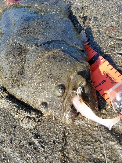 久々釣果！記録更新！