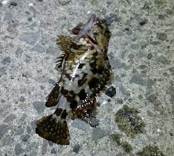 食品コンビナートにて