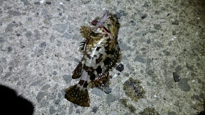 食品コンビナートにて