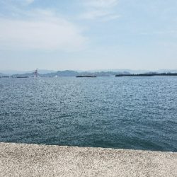 ガシラ釣り ~色々不完全燃焼で終了~