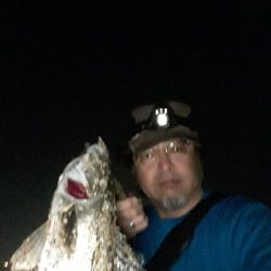 おひさのナイトゲーム