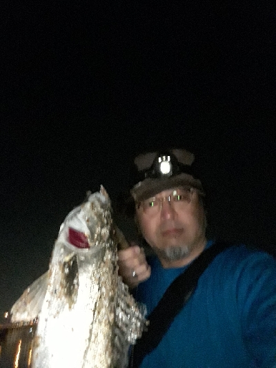 おひさのナイトゲーム