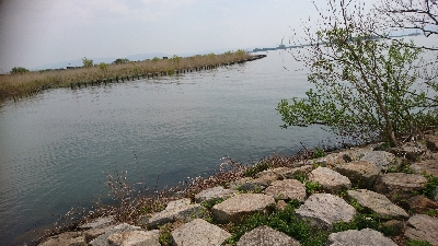 ハイプレッシャーの中