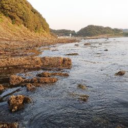 新地開拓の末に