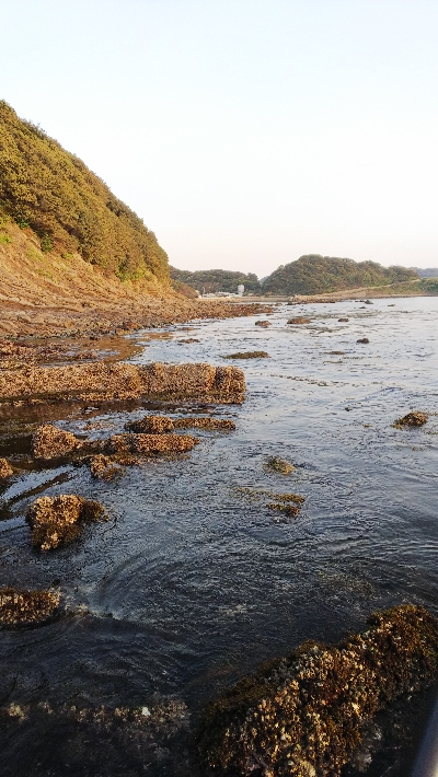 新地開拓の末に