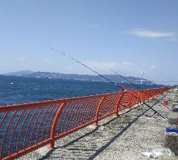 良い人達に囲まれて