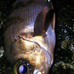 様子がおかしい