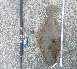 ショアジギング ヒラメ