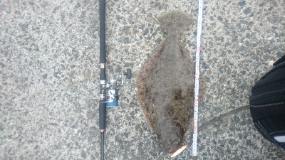 ショアジギング ヒラメ