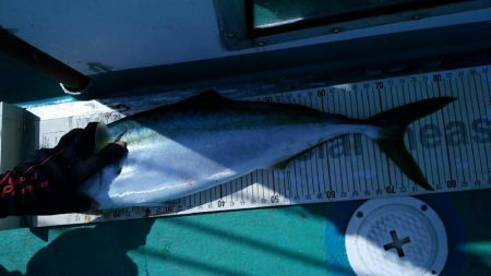 イサキ、アジ時々青物