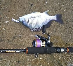 仕事終わりの短期決戦