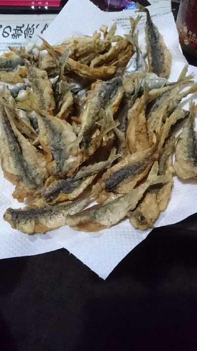 小サバ大漁！！