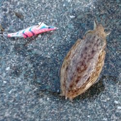 久しぶりにメンバー揃って(^^)