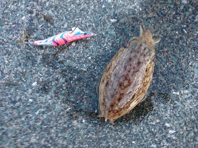 久しぶりにメンバー揃って(^^)