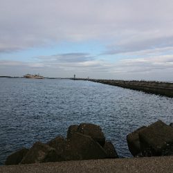 釣り部 釣行記 １３