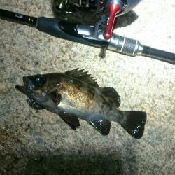 粘ってなんぼ。