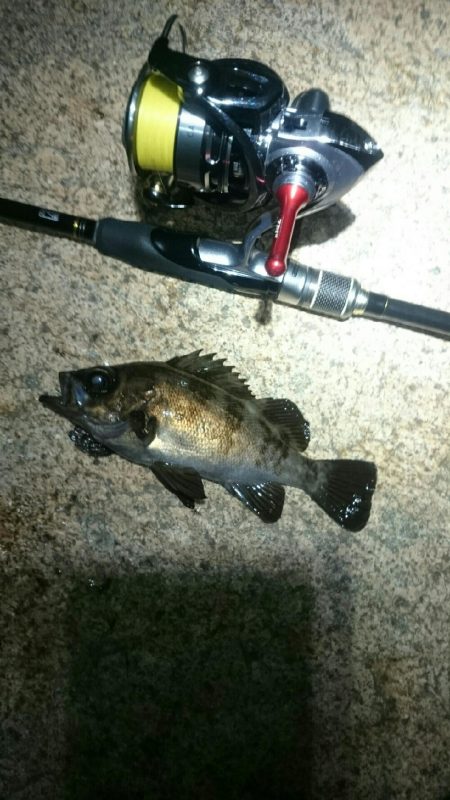 粘ってなんぼ。