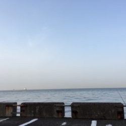 今年初釣果  エソ