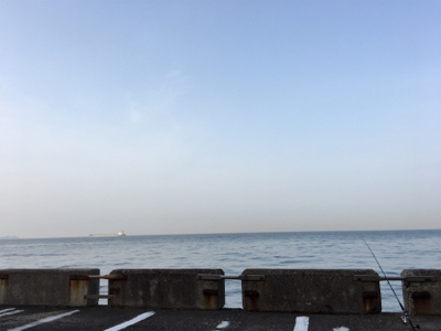 今年初釣果  エソ