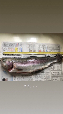 リヴァースポット早戸