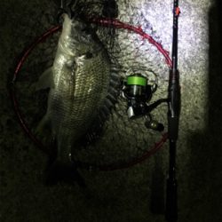 癒しのチニング