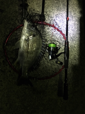 癒しのチニング