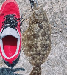 まさか釣れるとは…