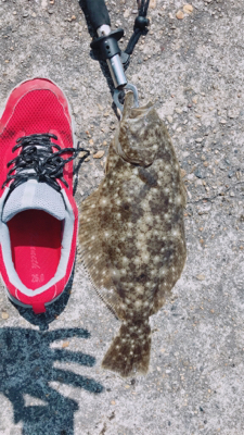 まさか釣れるとは...