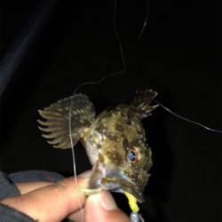 ライトゲーム良き！